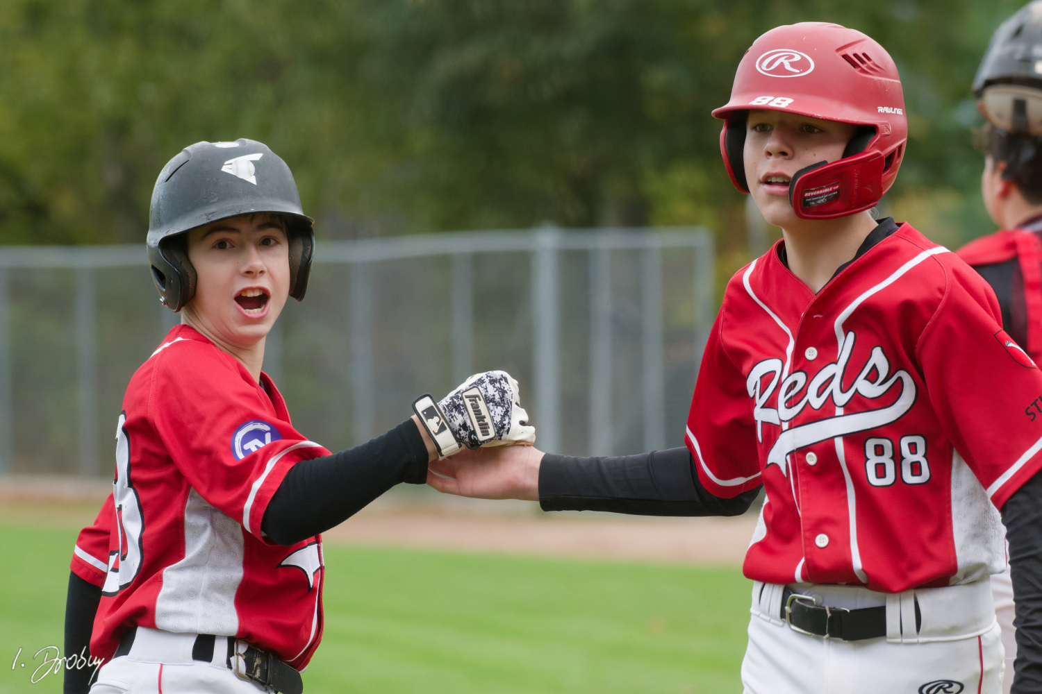 Stuttgart Reds vs Heidelberg Hedgehogs