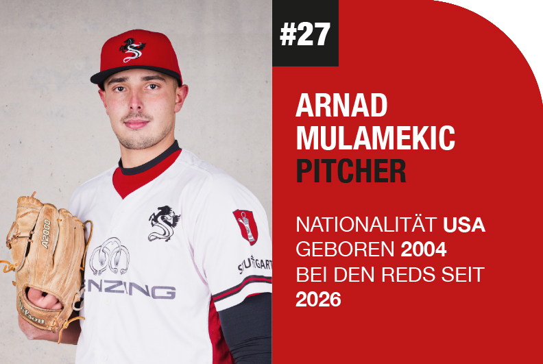 Arnad Mulamekic