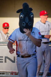 250509 Reds HDH 0323