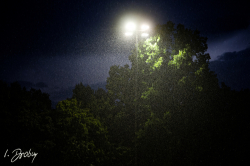 250531 Reds Legionaere 1045