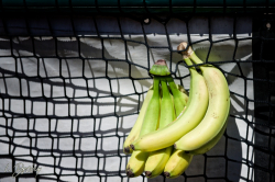 250718 Reds Legionaere 0569