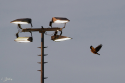 260424 Reds Disciples 0384