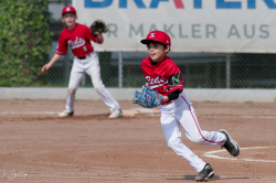 260509 Reds Foxes 0017
