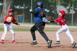 260509 Reds Foxes 0019