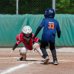 260509 Reds Foxes 0104