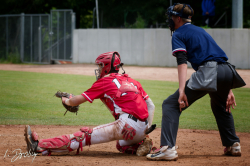 250525 Reds Wanderers 0010