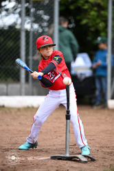 250926 T Ball Turnier Keller 0002