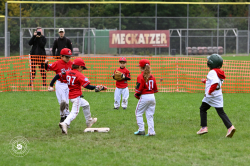 250926 T Ball Turnier Keller 0004