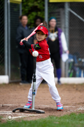 250926 T Ball Turnier Keller 0020