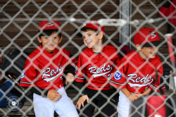 250926 T Ball Turnier Keller 0024