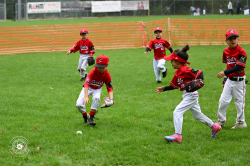 250926 T Ball Turnier Keller 0028