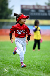 250926 T Ball Turnier Keller 0030