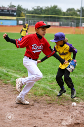 250926 T Ball Turnier Keller 0031