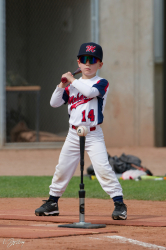 260607 T Ball 0140