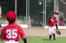 260607 T Ball 0217