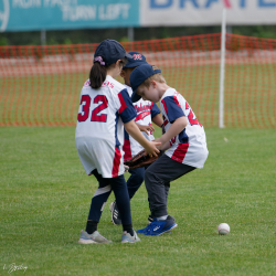 260607 T Ball 0243