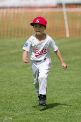 260607 T Ball 0333