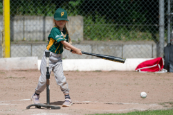 260607 T Ball 0404
