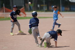 260607 T Ball 0642