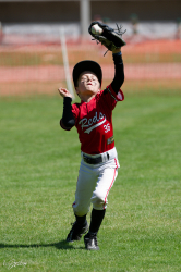 260607 T Ball 0859