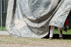 240615 Reds Poppenweiler 0032